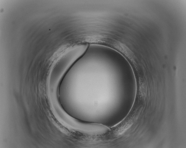 X0000062930530200601181312