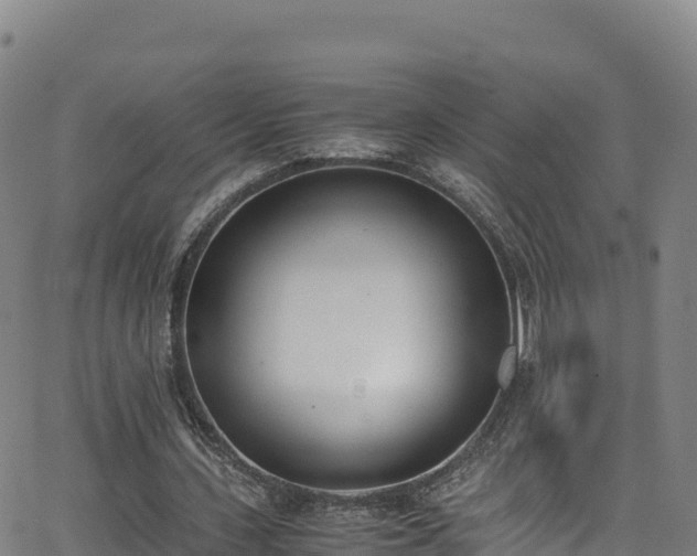 X0000062930531200601181312