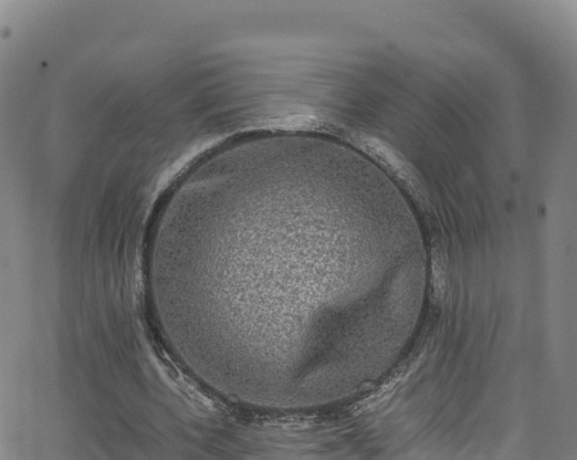 X0000062930532200601181312