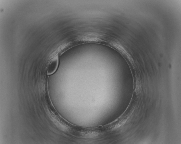 X0000062930533200601181312