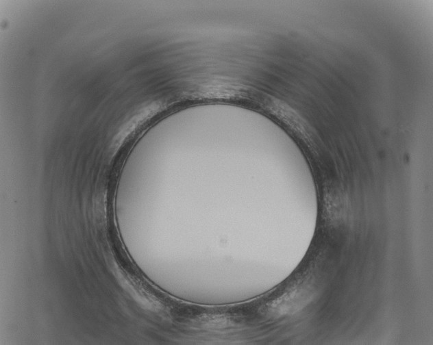 X0000062930534200601181312