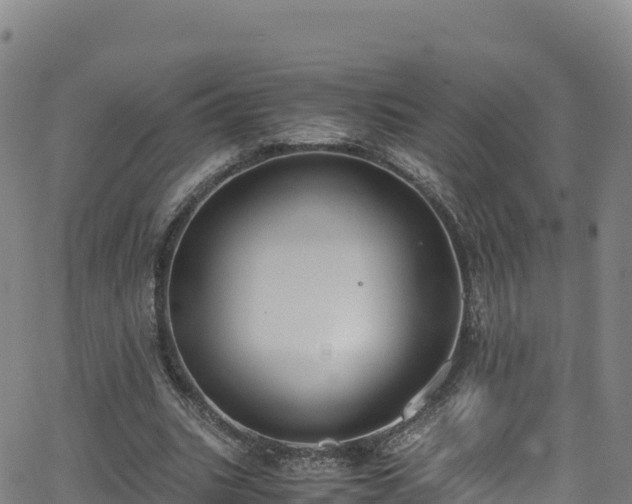 X0000062930535200601181312