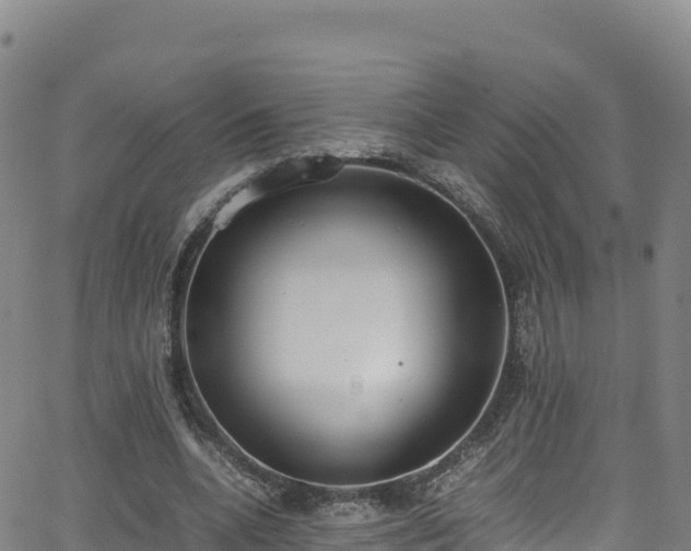 X0000062930536200601181312