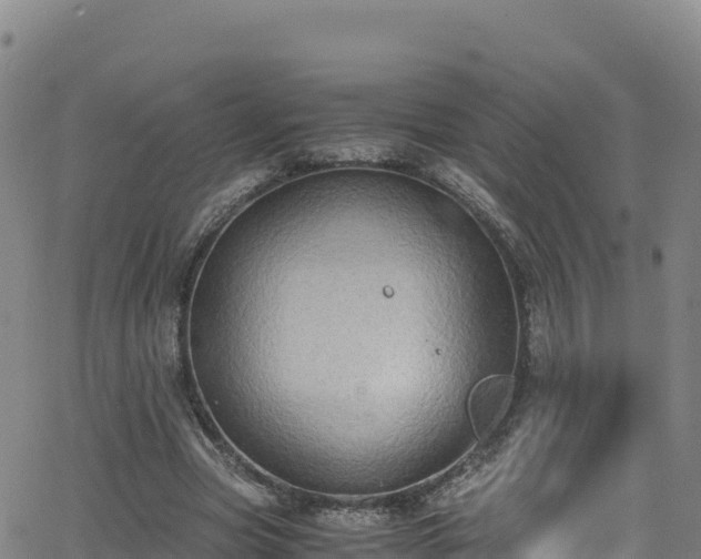 X0000062930537200601181312