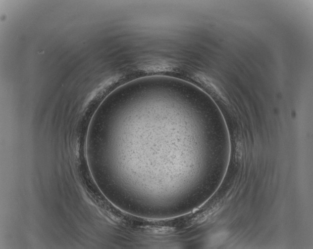 X0000062930539200601181312