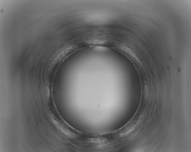 X0000062930541200601181312