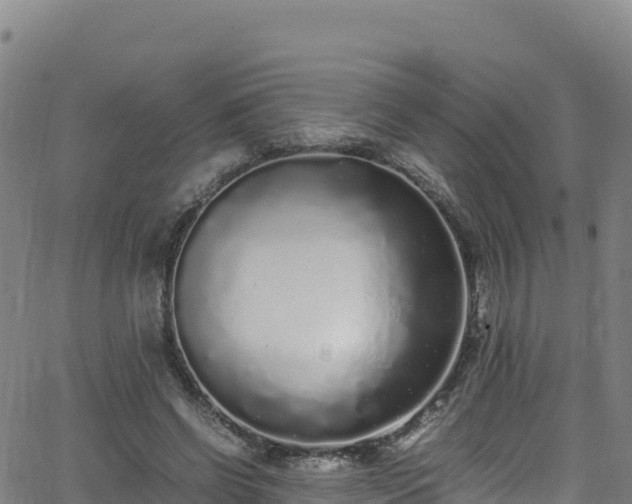 X0000062930542200601181312