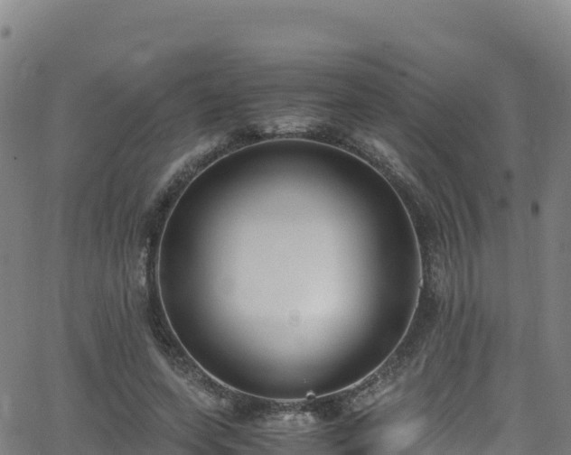 X0000062930543200601181312