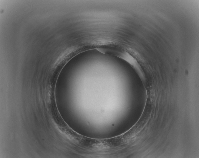 X0000062930544200601181312