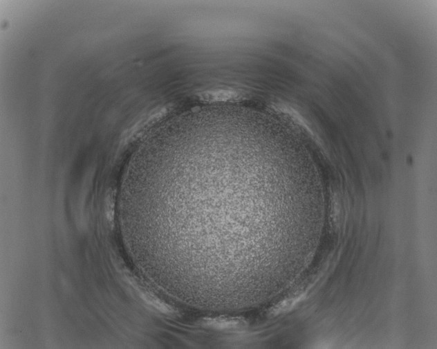 X0000062930545200601181312