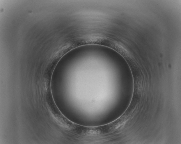 X0000062930546200601181312