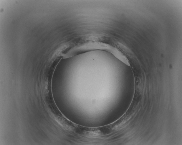 X0000062930548200601181312