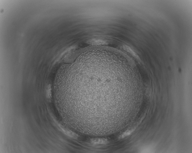 X0000062930549200601181312