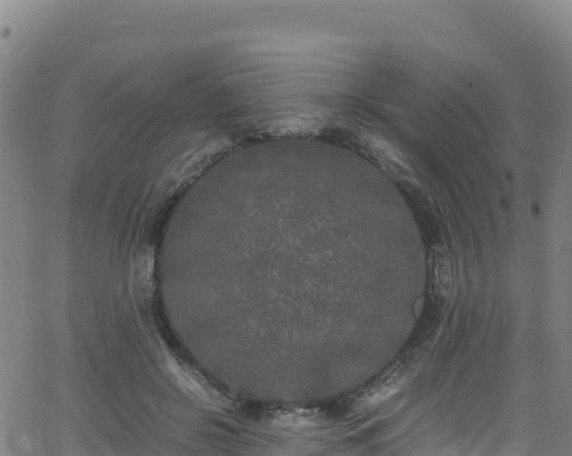 X0000062930550200601181312