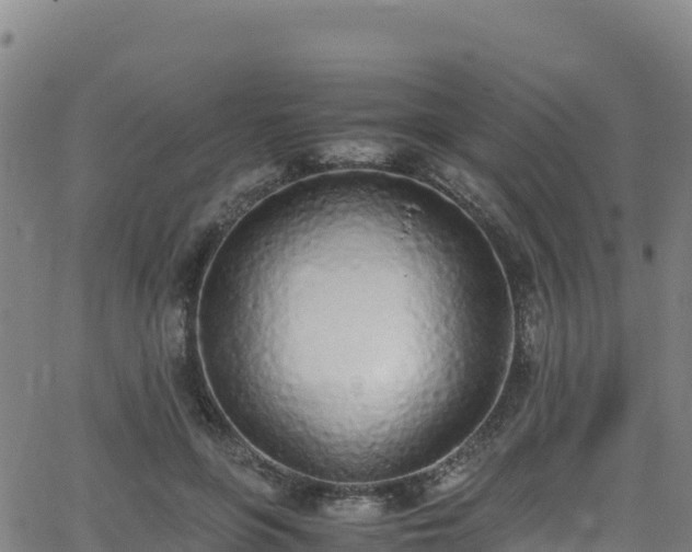 X0000062930551200601181312