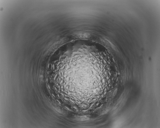 X0000062930553200601181312