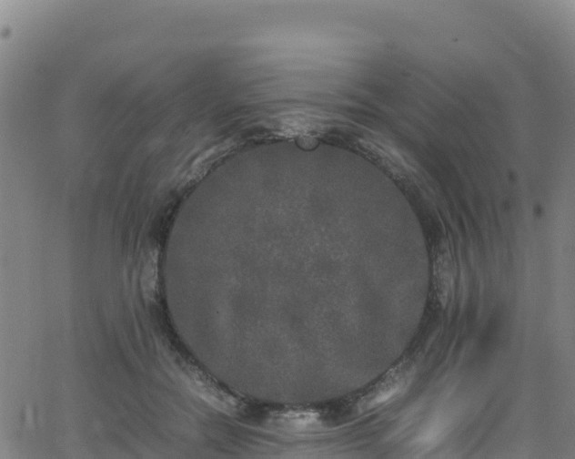 X0000062930554200601181312