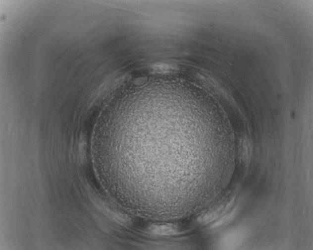 X0000062930557200601181312