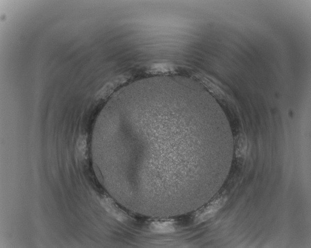 X0000062930560200601181312