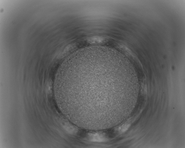 X0000062930561200601181312