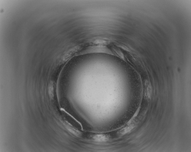 X0000062930562200601181312