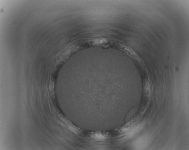 X0000062930565200601181312