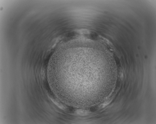 X0000062930568200601181312