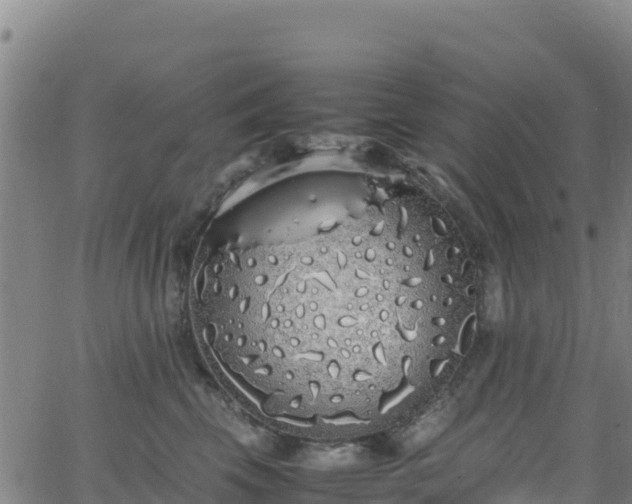 X0000062930569200601181312