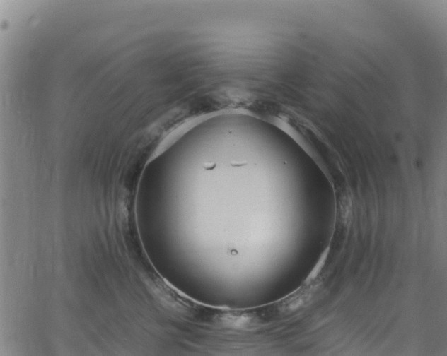 X0000062930570200601181312