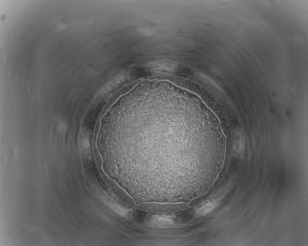 X0000062930573200601181312