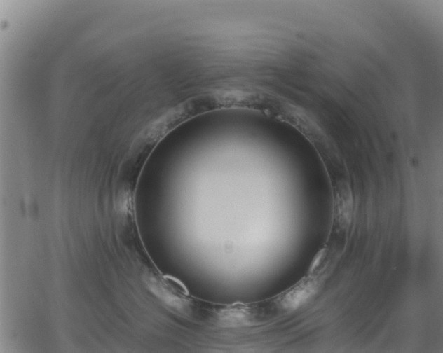 X0000062930574200601181313