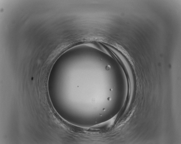 X0000062930577200601181312