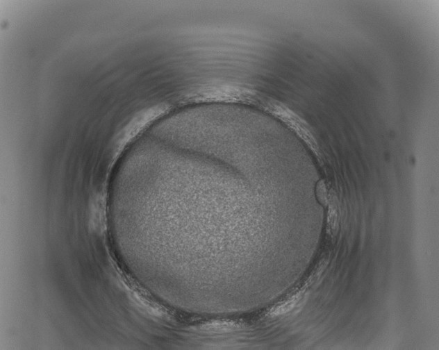 X0000062930578200601181312