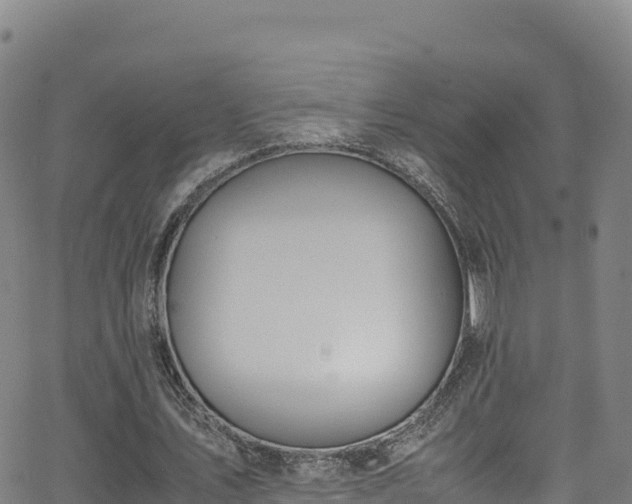 X0000062930579200601181312