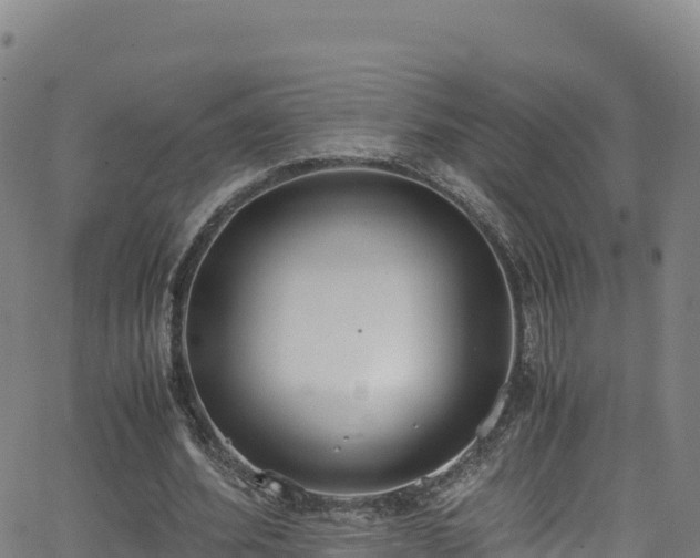 X0000062930580200601181312