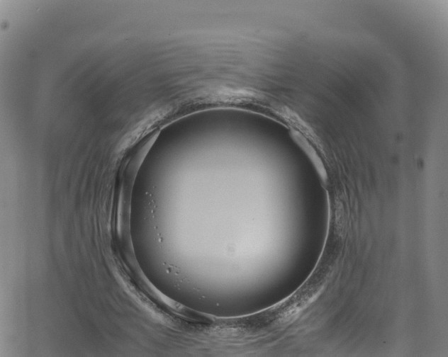 X0000062930581200601181312