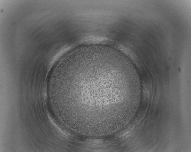 X0000062930582200601181312