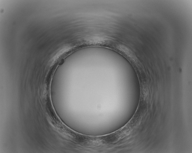 X0000062930583200601181312