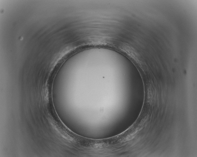 X0000062930584200601181312