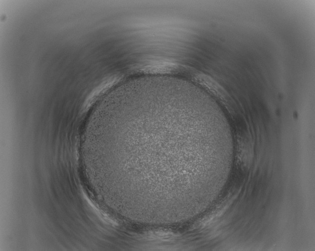 X0000062930586200601181312