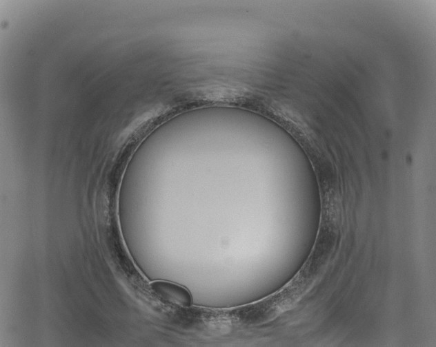 X0000062930587200601181312