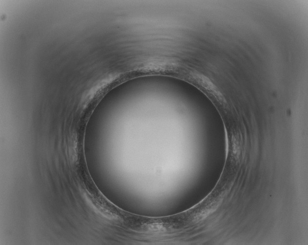 X0000062930588200601181312