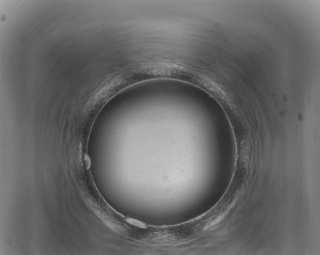 X0000062930589200601181312