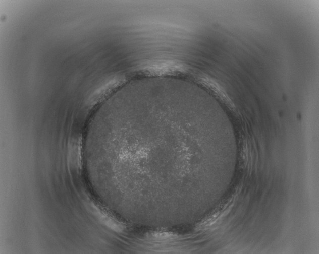 X0000062930590200601181312