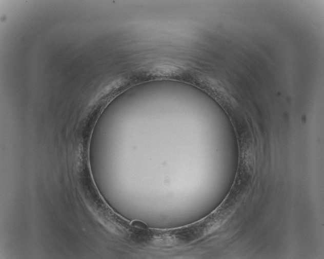 X0000062930591200601181312