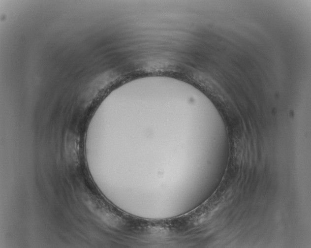 X0000062930592200601181312