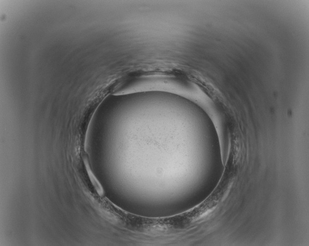 X0000062930593200601181311