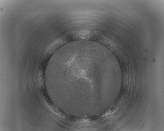 X0000062930594200601181311