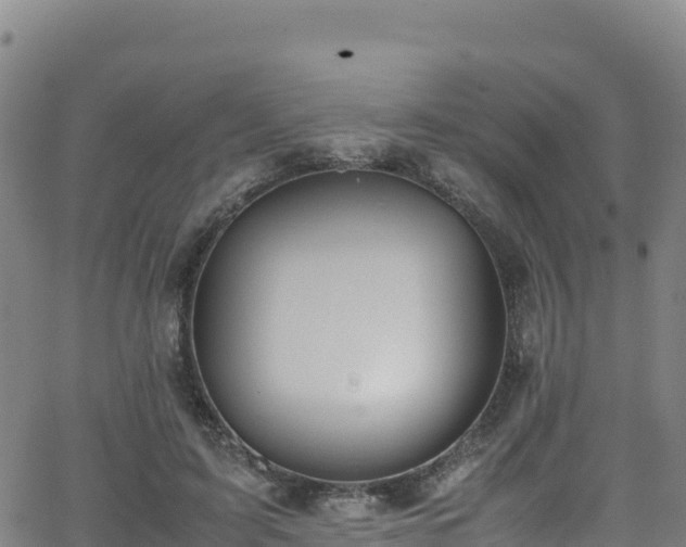 X0000062930595200601181311