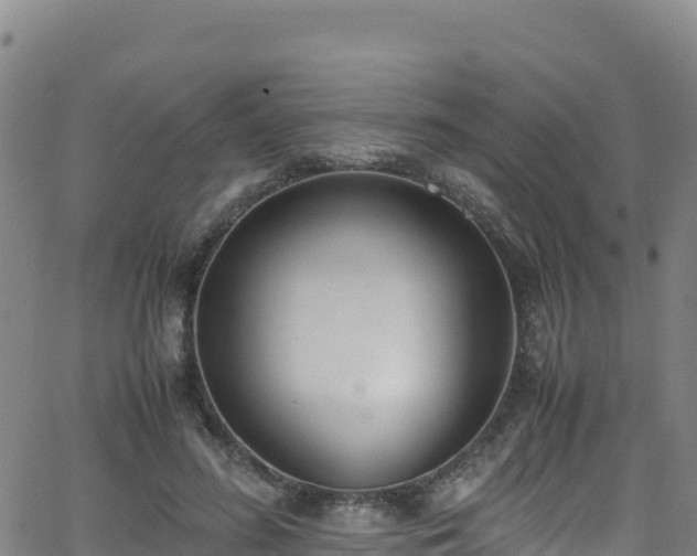 X0000062930596200601181311